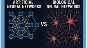 Introduction to Artificial Neural Networks (ANN) and Biological Neural Networks (BNN) in Hinglish